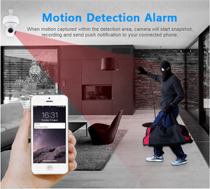 Cámara de Seguridad Vigilancia Inteligente 360º (Monitoreada Teléfono Móvil)